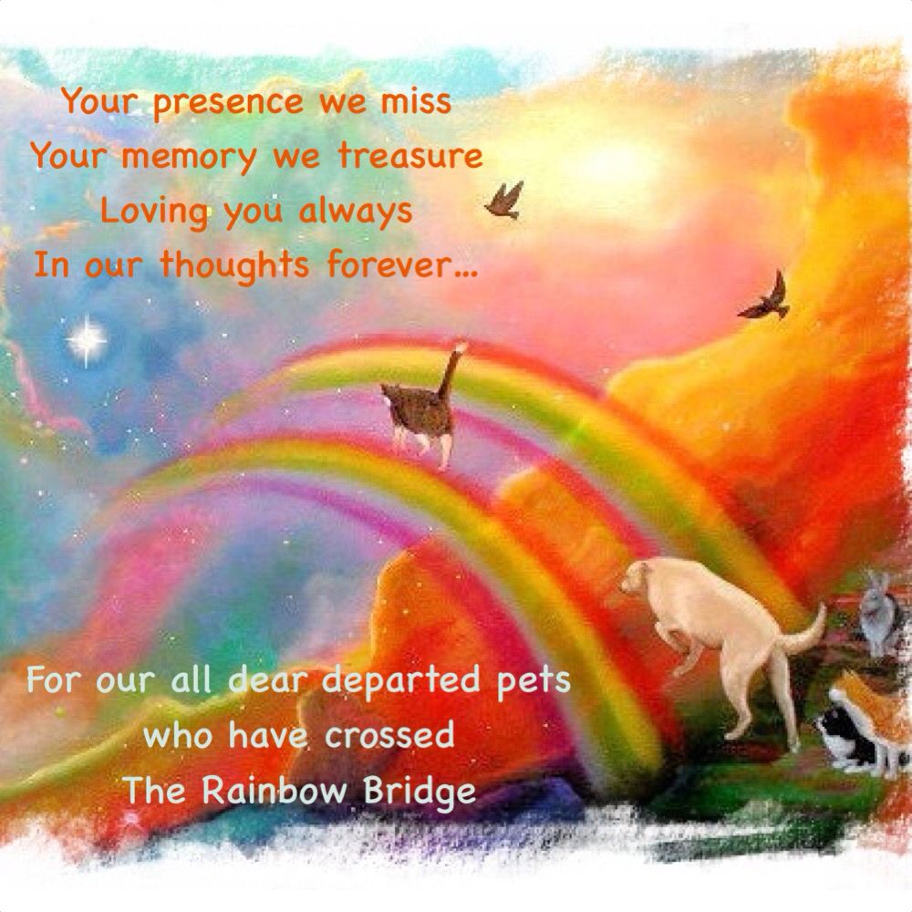 rainbow-bridge-printable-poem-for-dogs